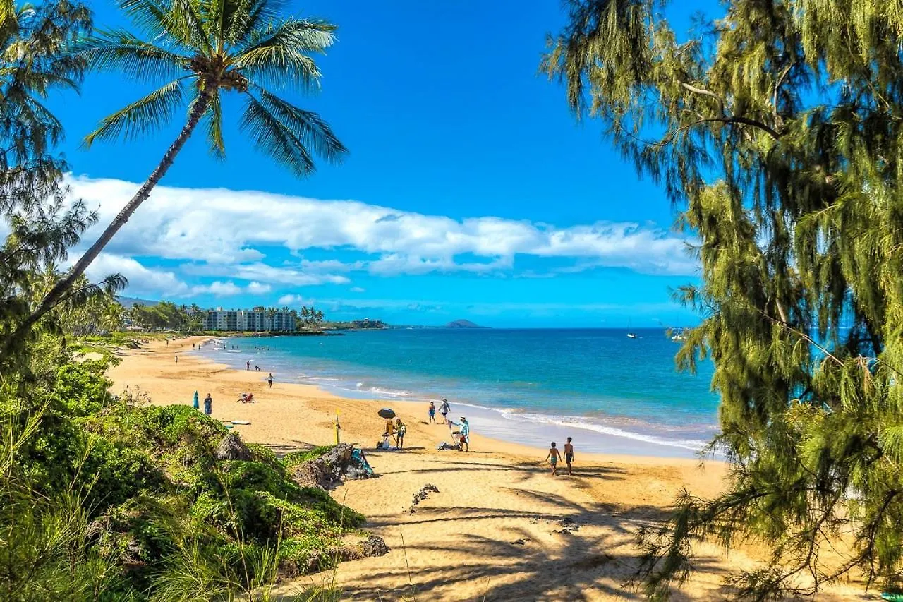 公寓 Maui Vista 3408 *