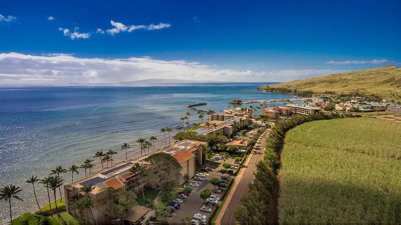 Lauloa 407