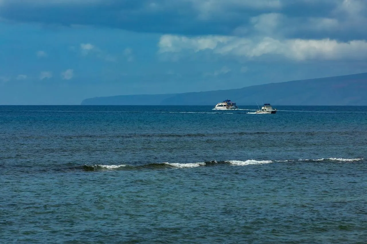 Lauloa 407 *