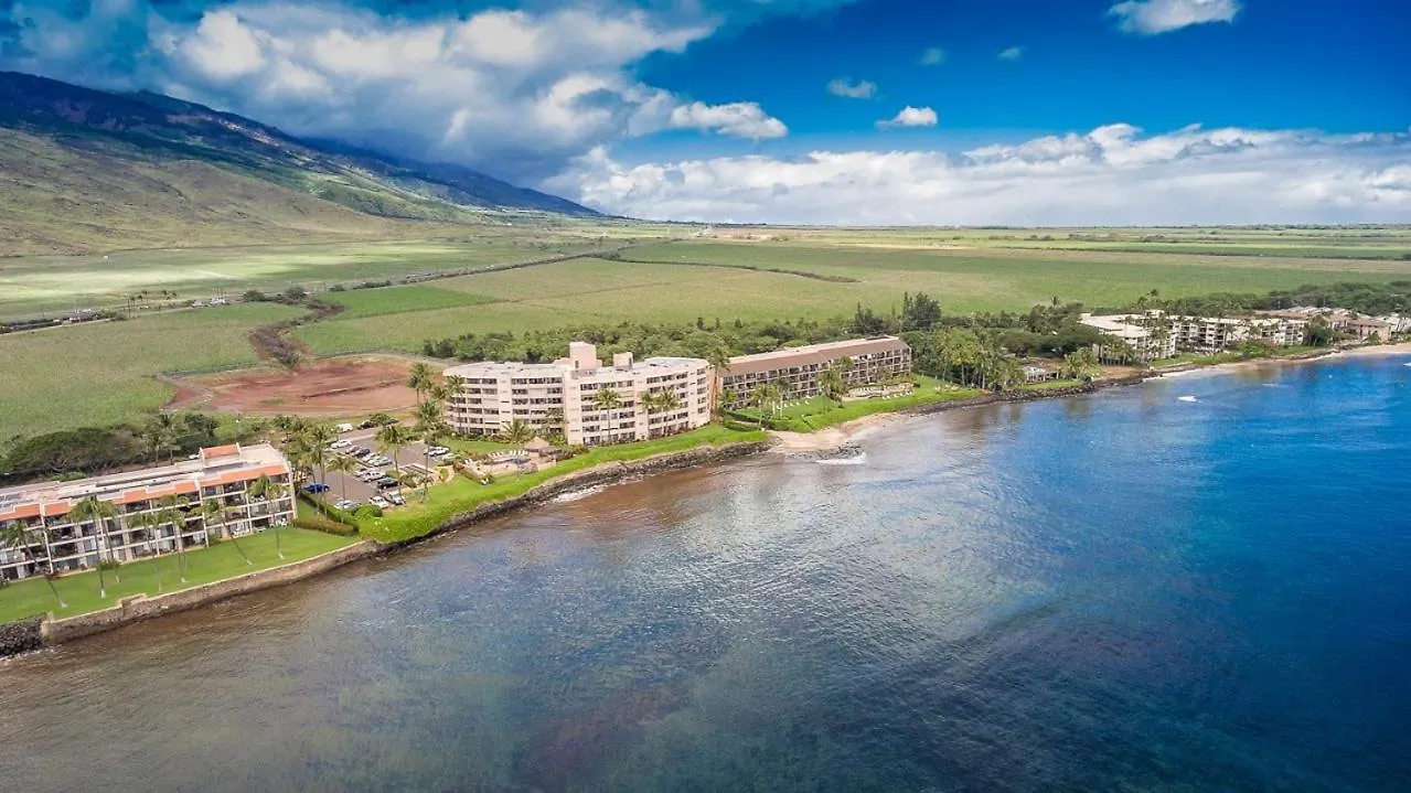 Lauloa 407