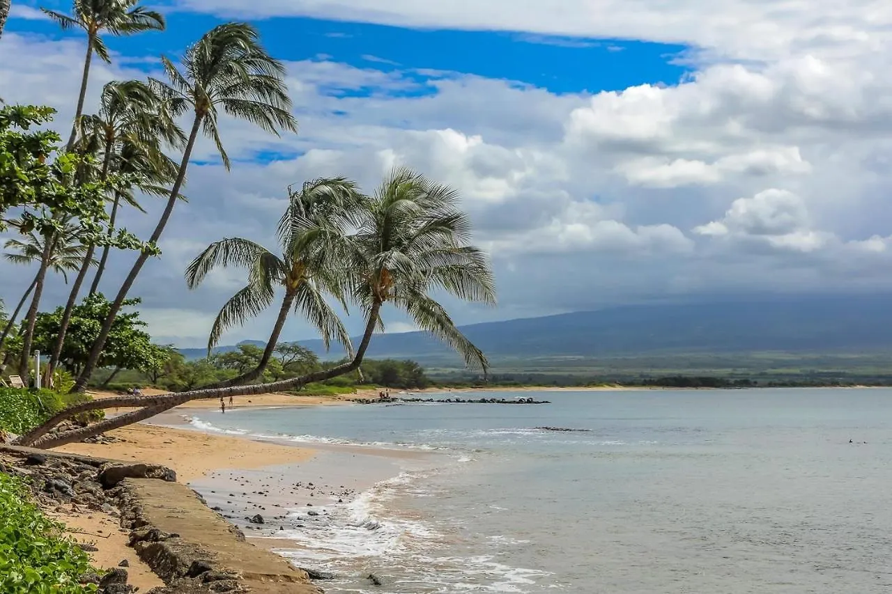 Lauloa 407 Wailuku