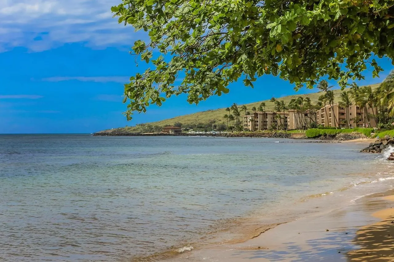 Lauloa 407 *