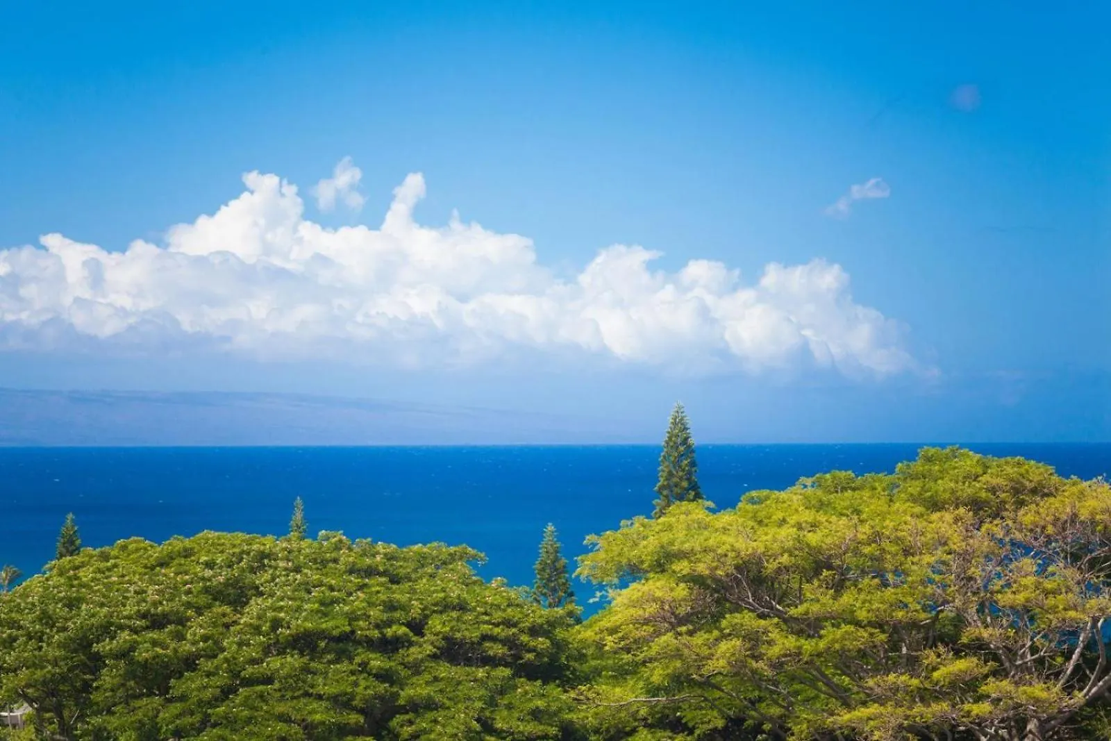 2711 Ridge Kahana