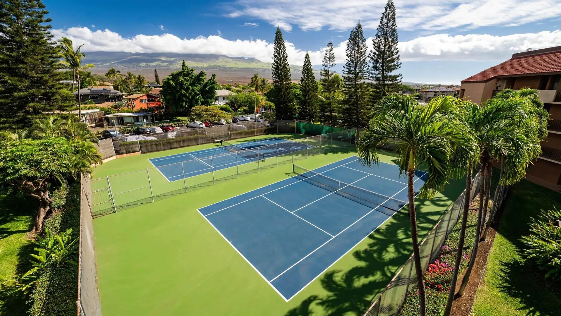 Maui Vistas #3419 公寓