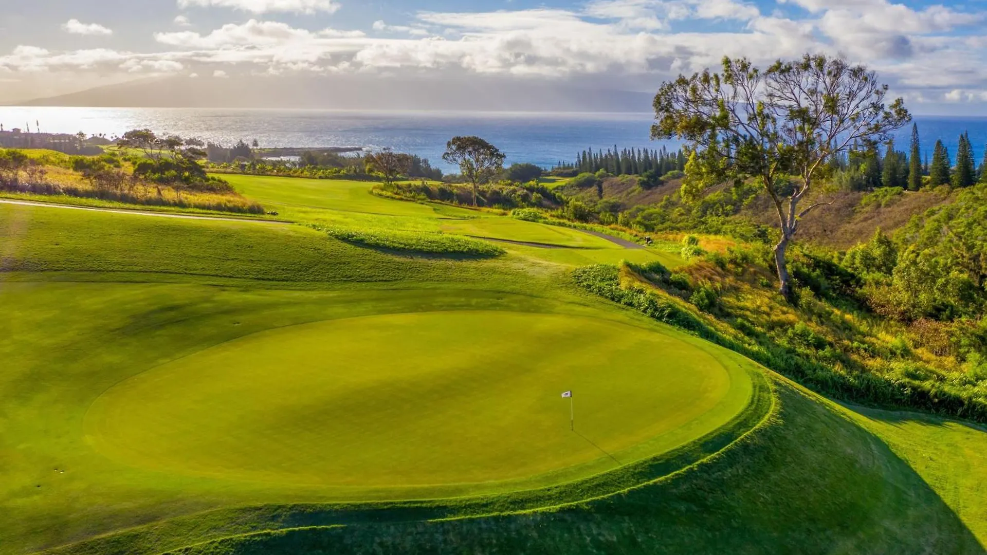 Ośrodek wypoczynkowy The Ritz-carlton Maui, Kapalua 5*