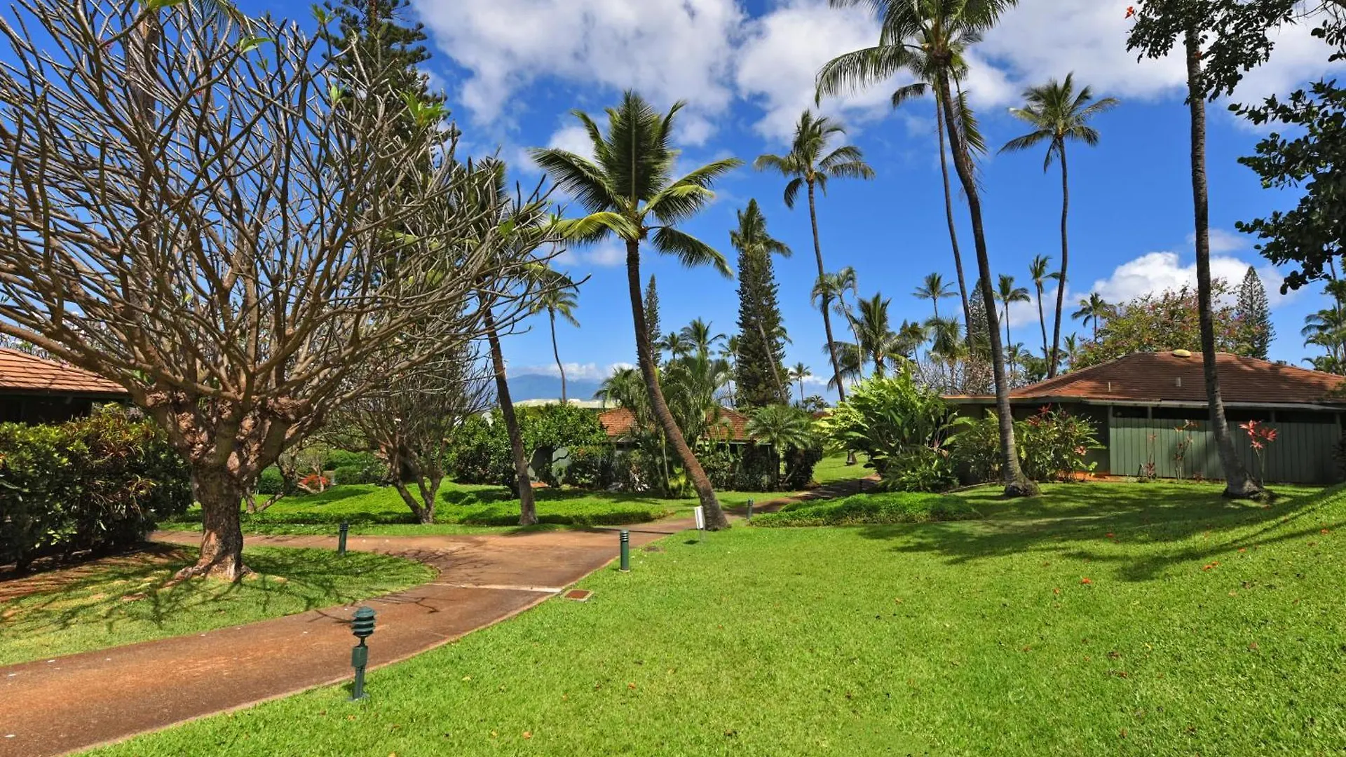 International Colony Club 37 Holiday home