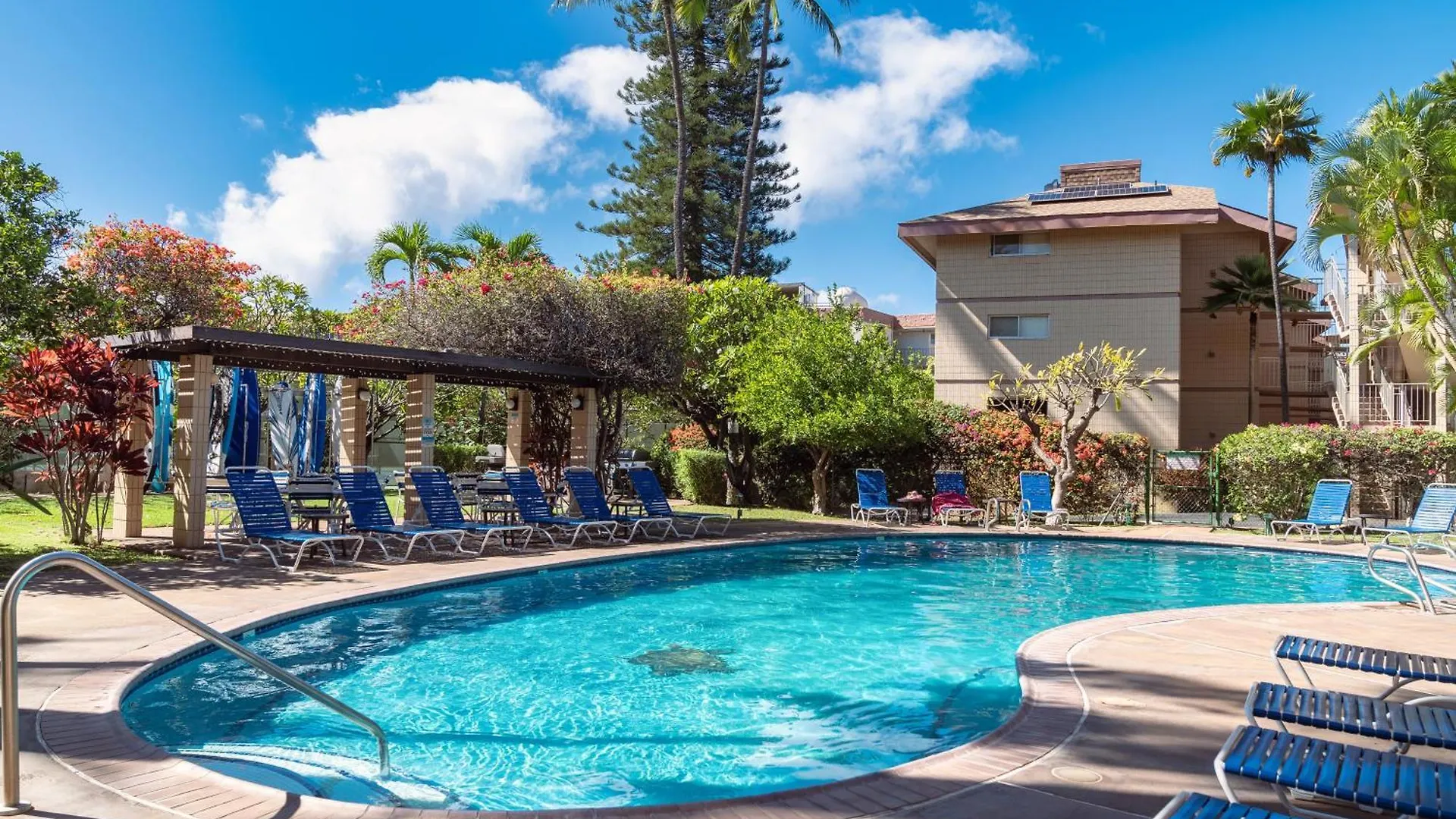 Apartment A-312 Haleakala Shores *
