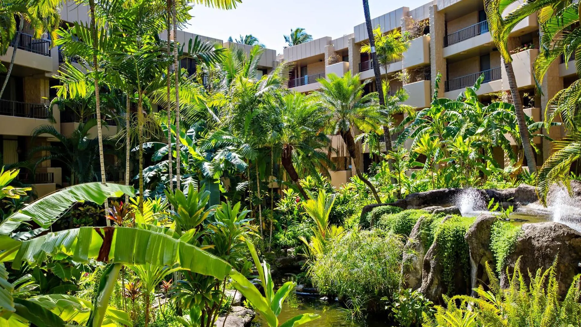 Paki Maui 420 Ferienhaus *