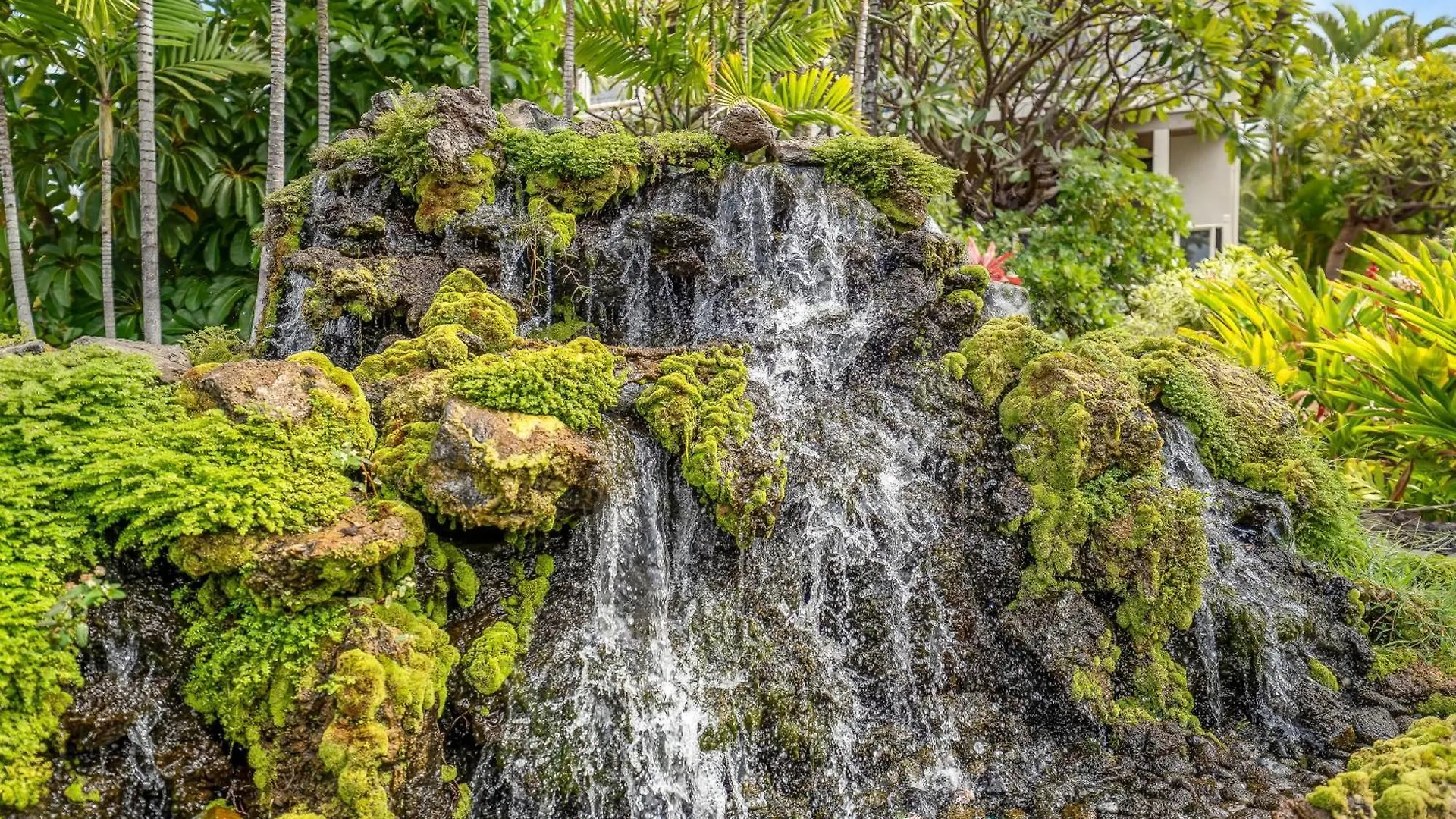 Prázdninový dům Grand Champions 163 Wailea (Maui)