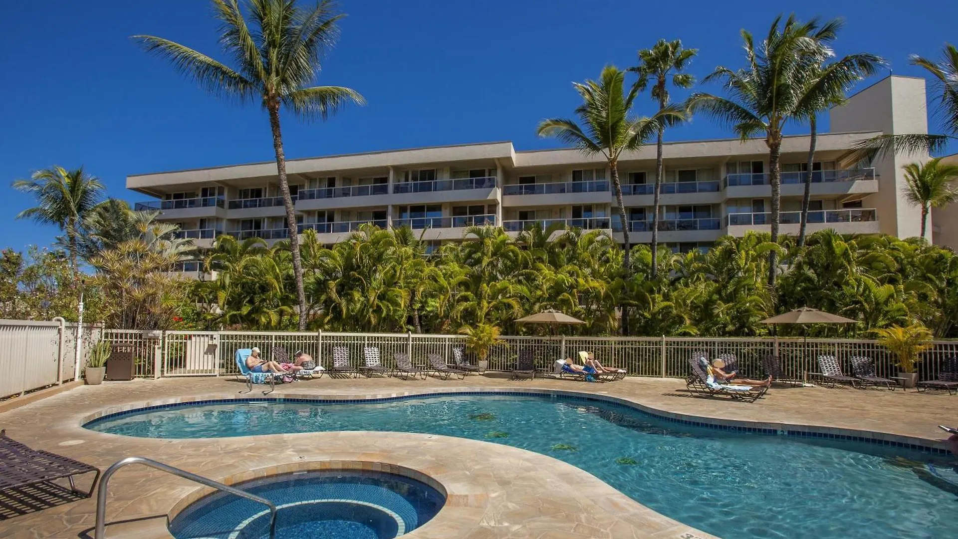 Maui Banyan Q104 - Mch *