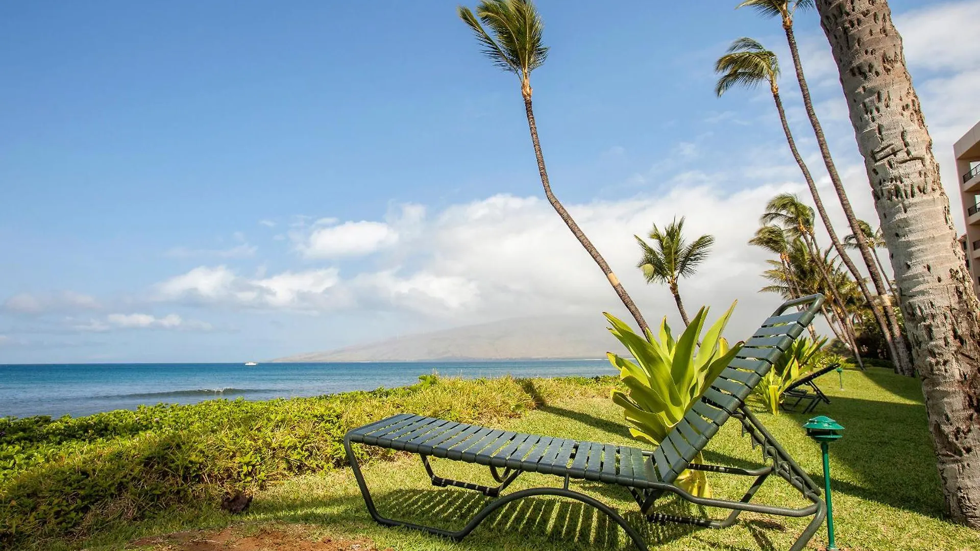 Dom wakacyjny Sugar 333 - Mch Kihei