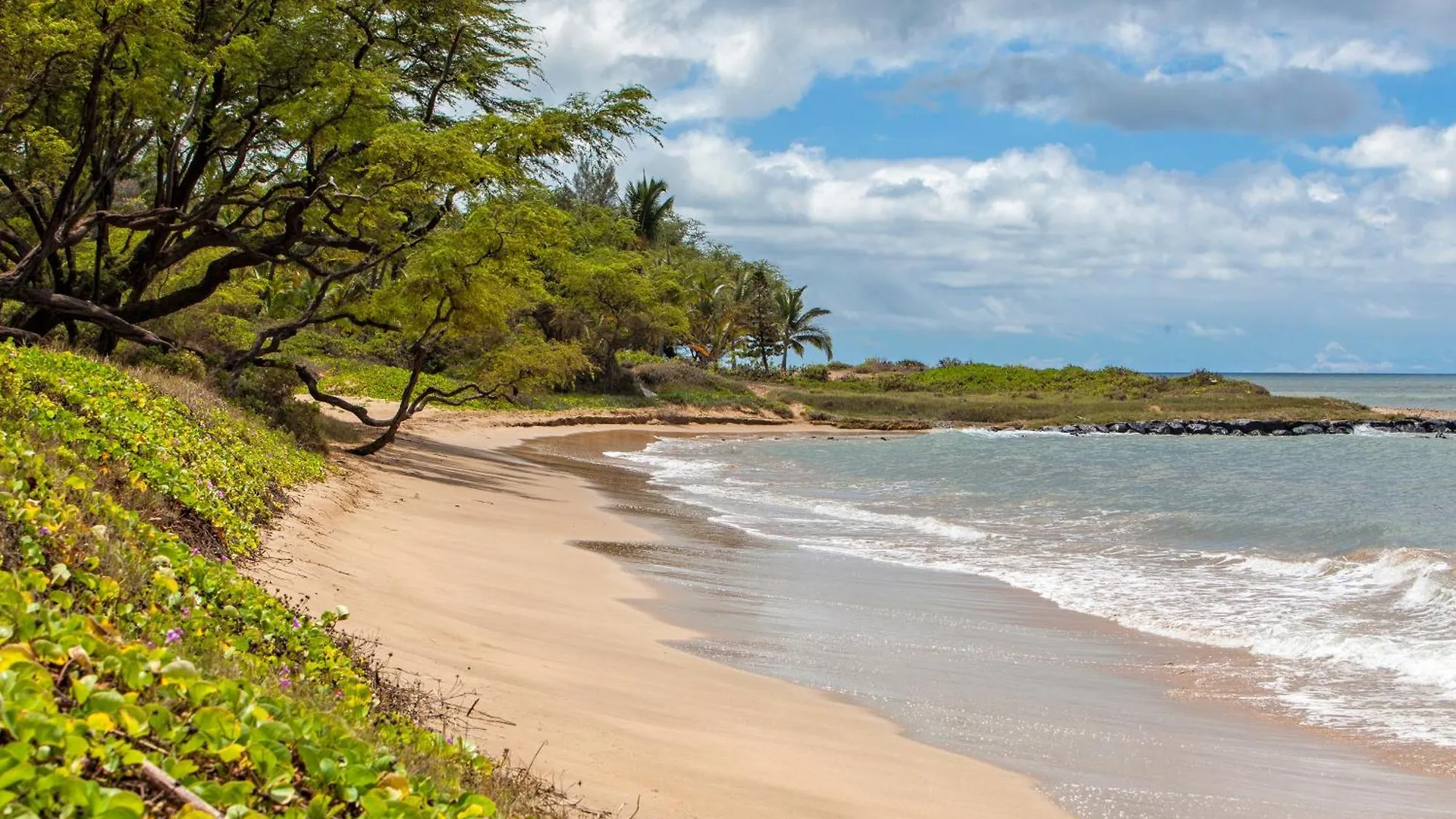 Kauhale Makai 122 - Mch Kihei