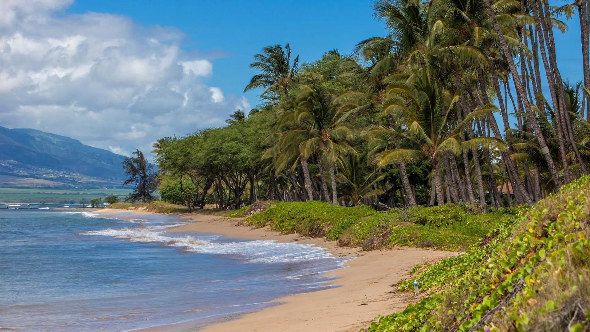 Feriehus Kauhale Makai 122 - Mch Kihei