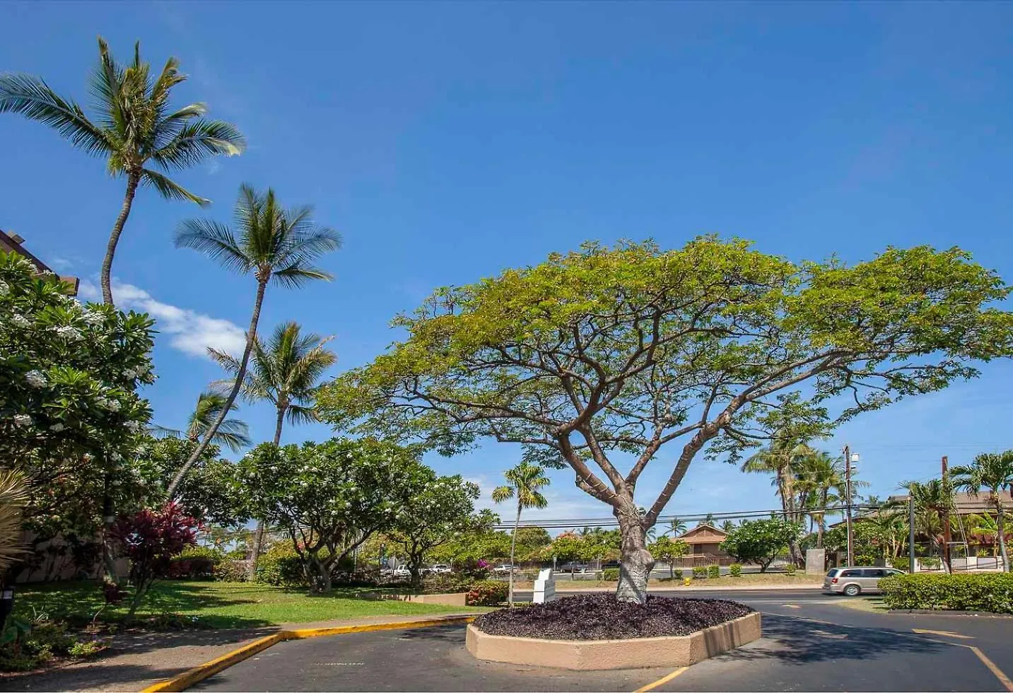 Maui Vista 1323 - Mch 度假居