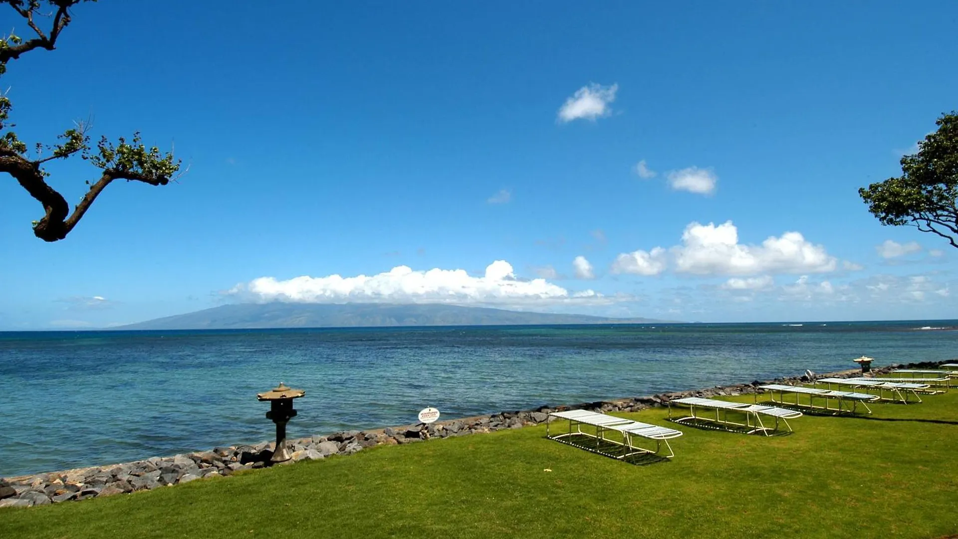 Reef 207 - Mch * Kahana