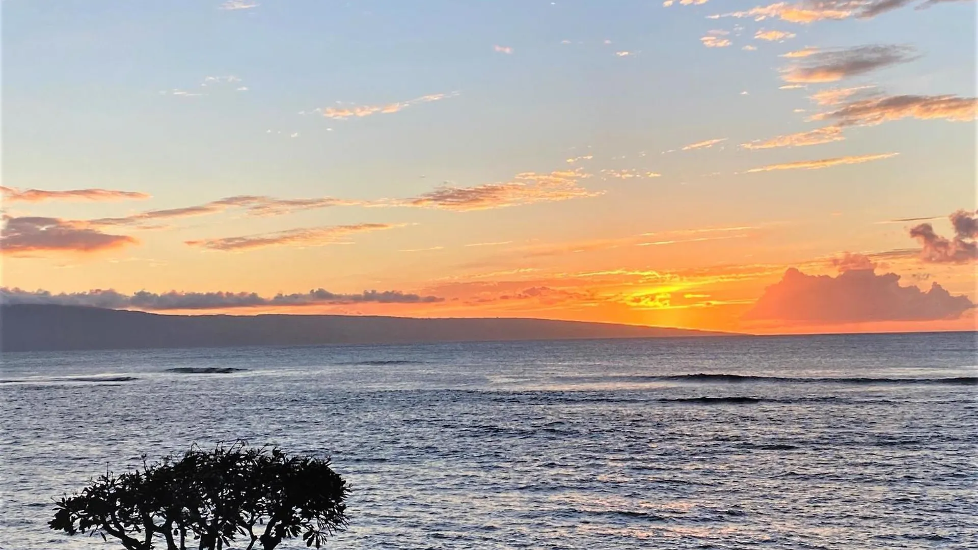 Reef 207 - Mch Holiday home Kahana