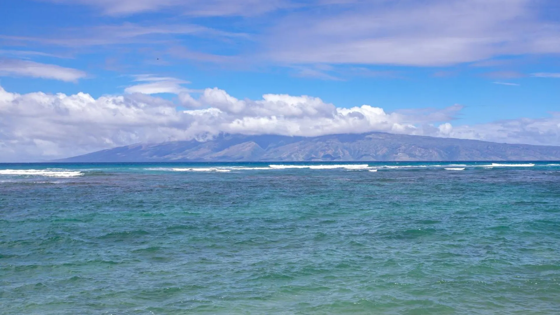 Reef 101 - Mch Kahana