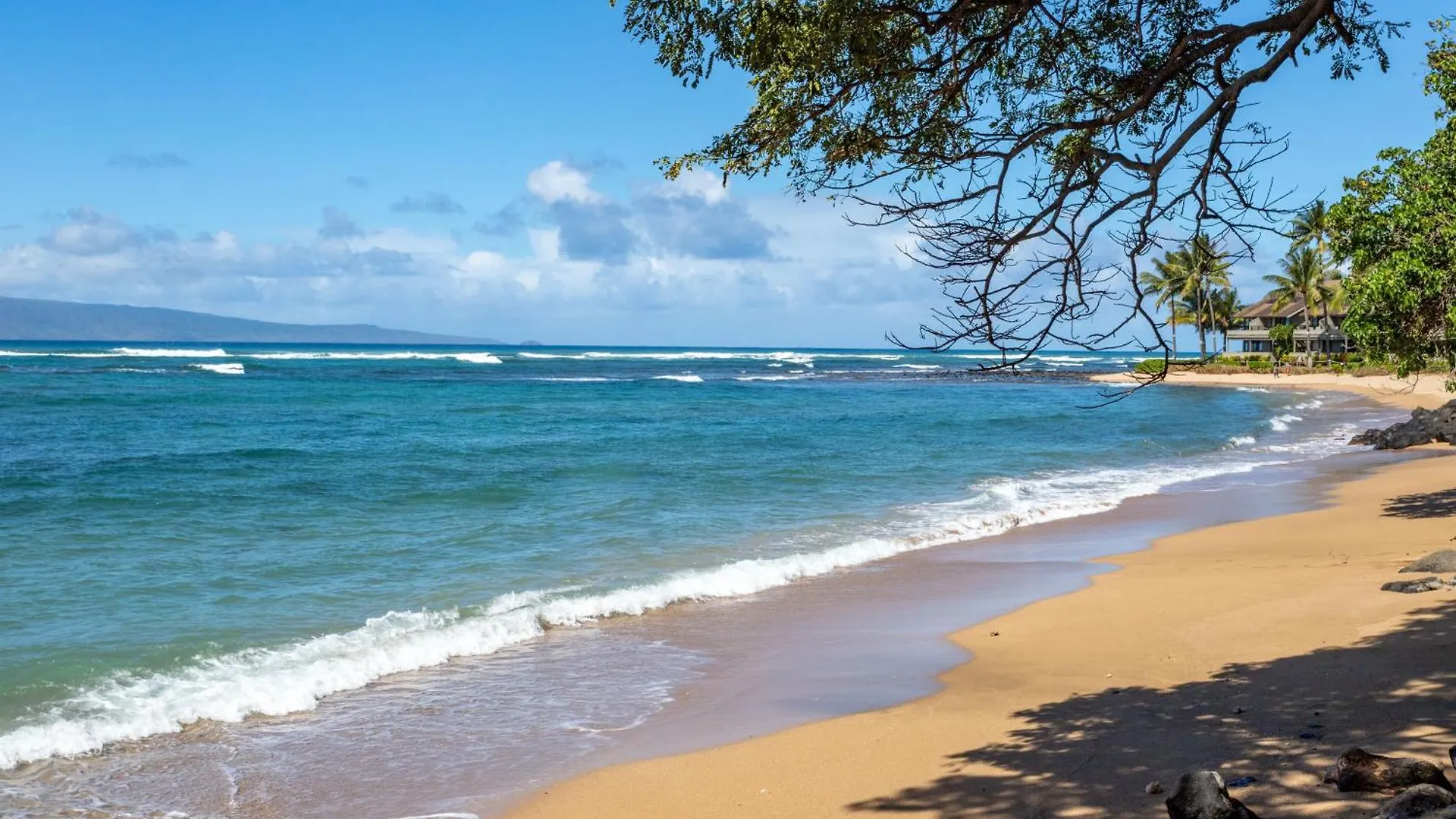 Reef 101 - Mch Kahana