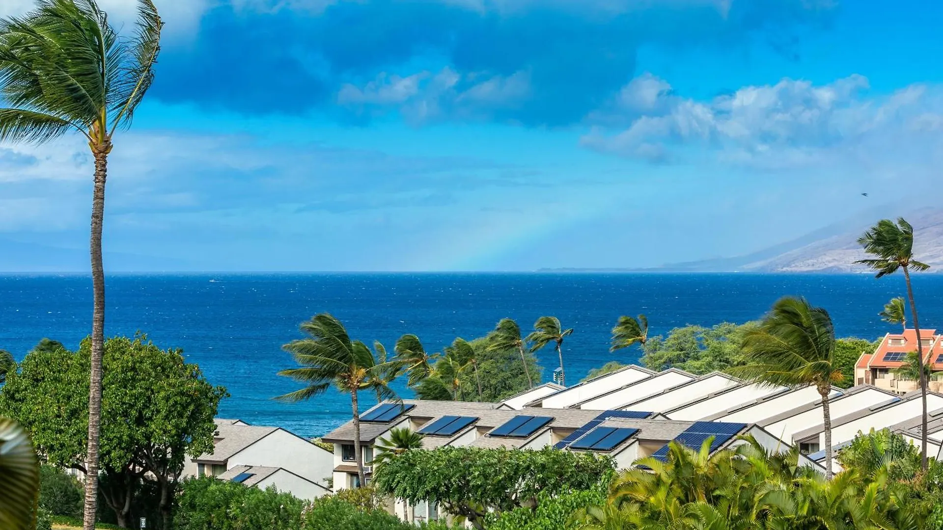 Maui Kamaole J214 - Mch *