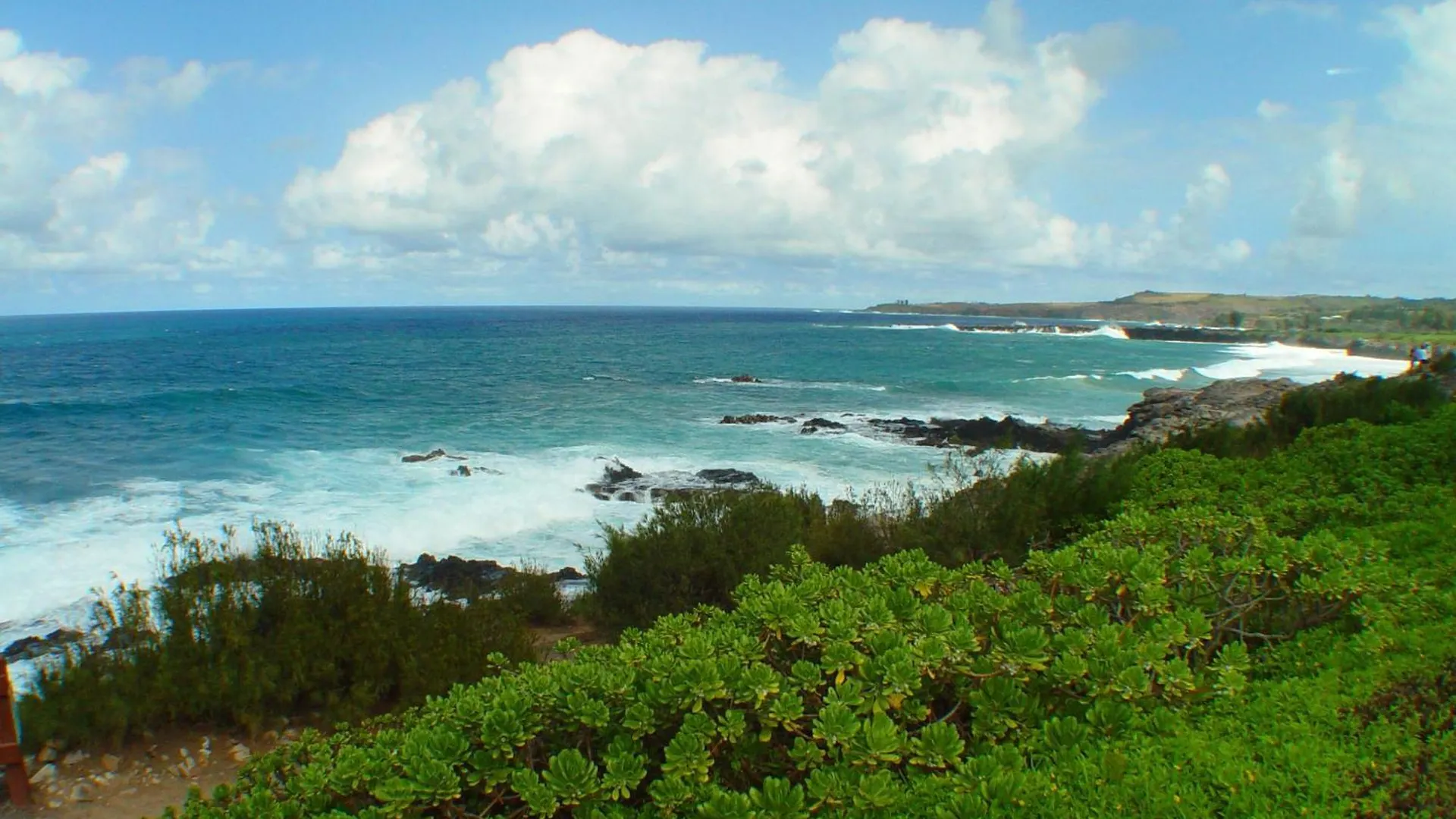 Kapalua Bay 33g2