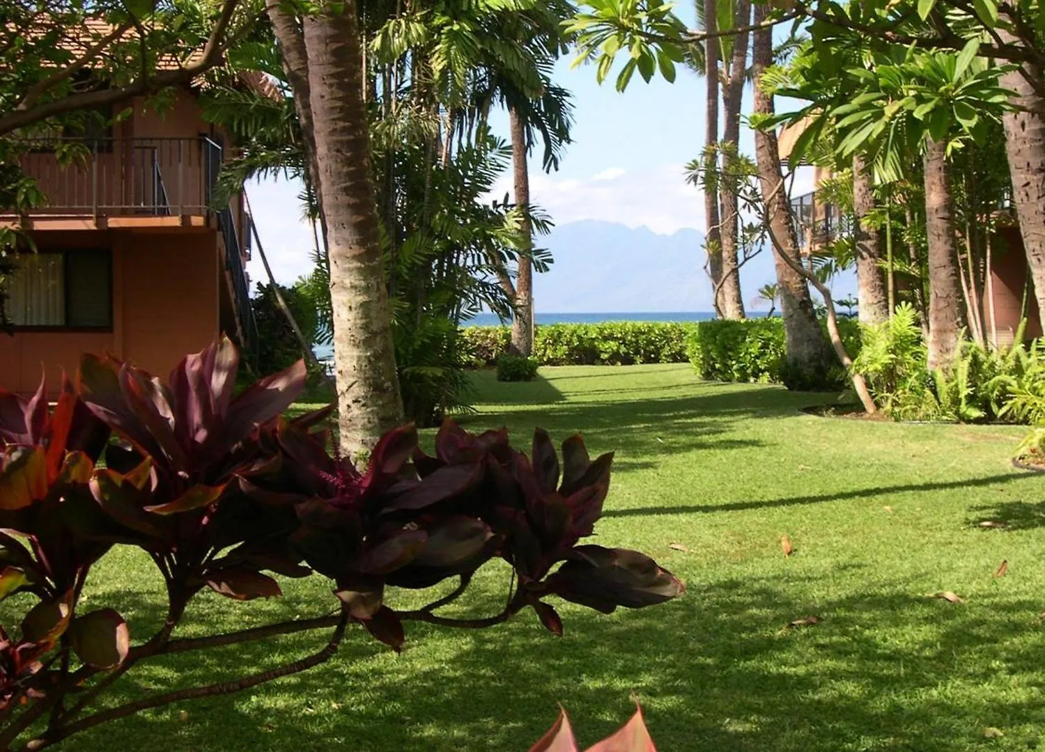 Maui Sands #6e Kahana