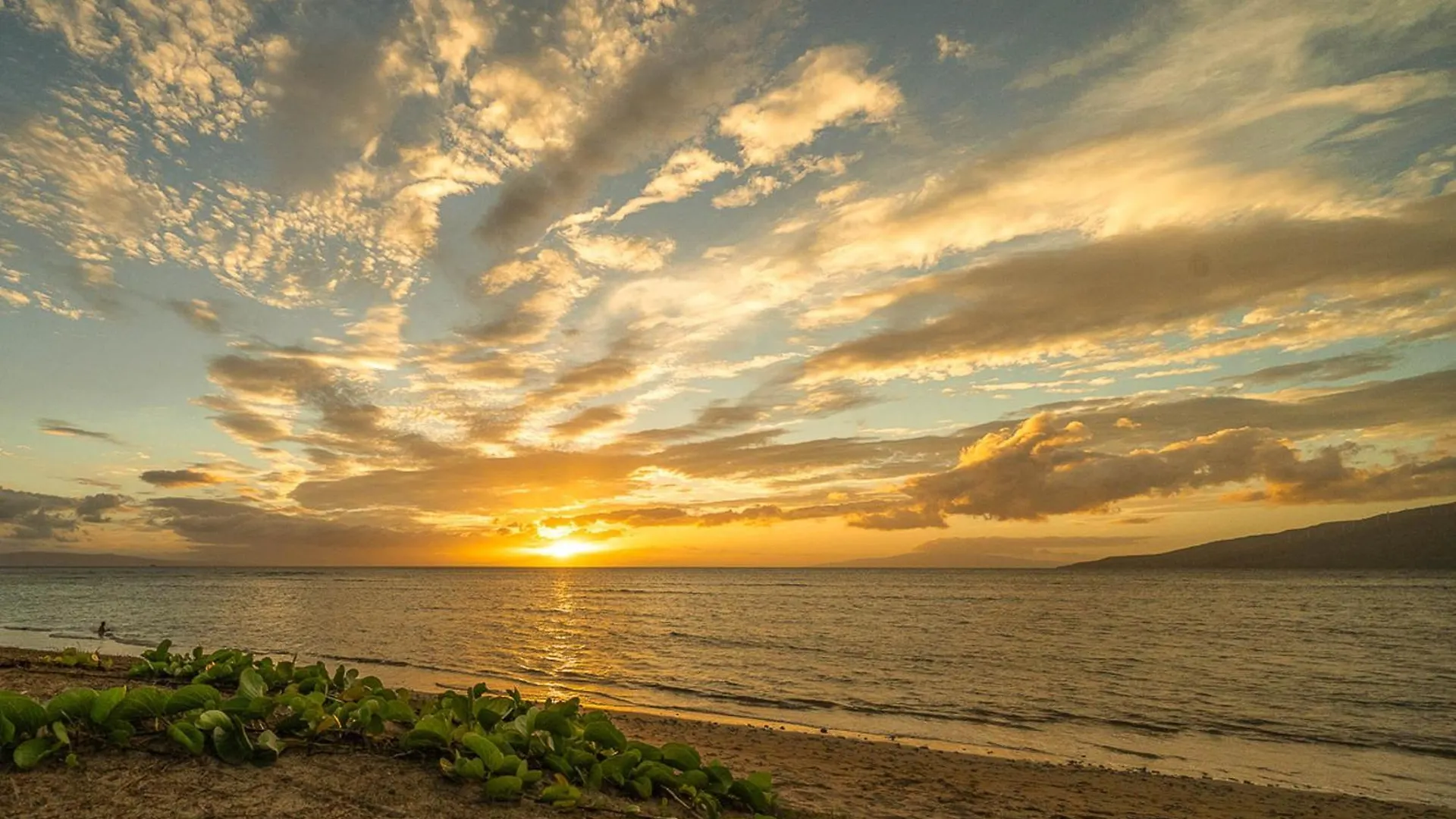 Maui Sunset A108