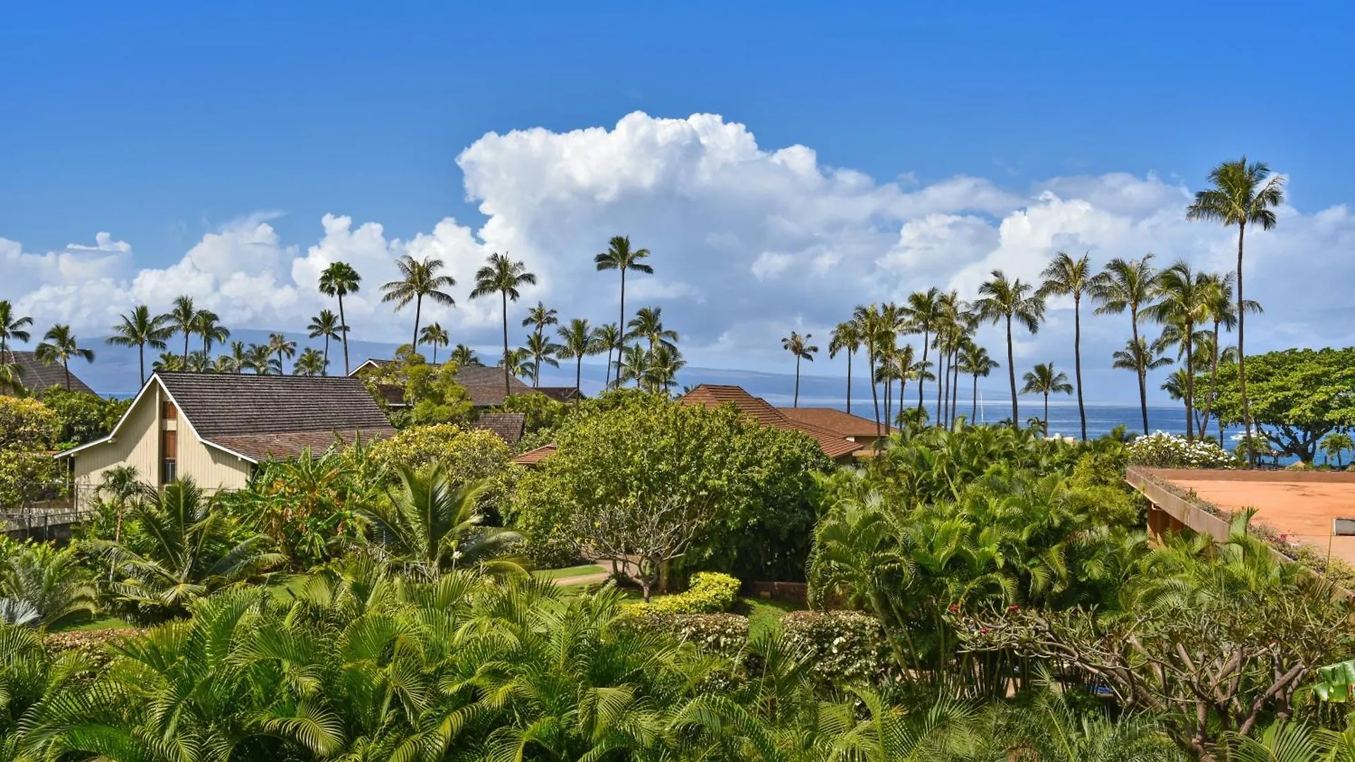Lejlighed Maui Kaanapali Villas #a317 Lahaina