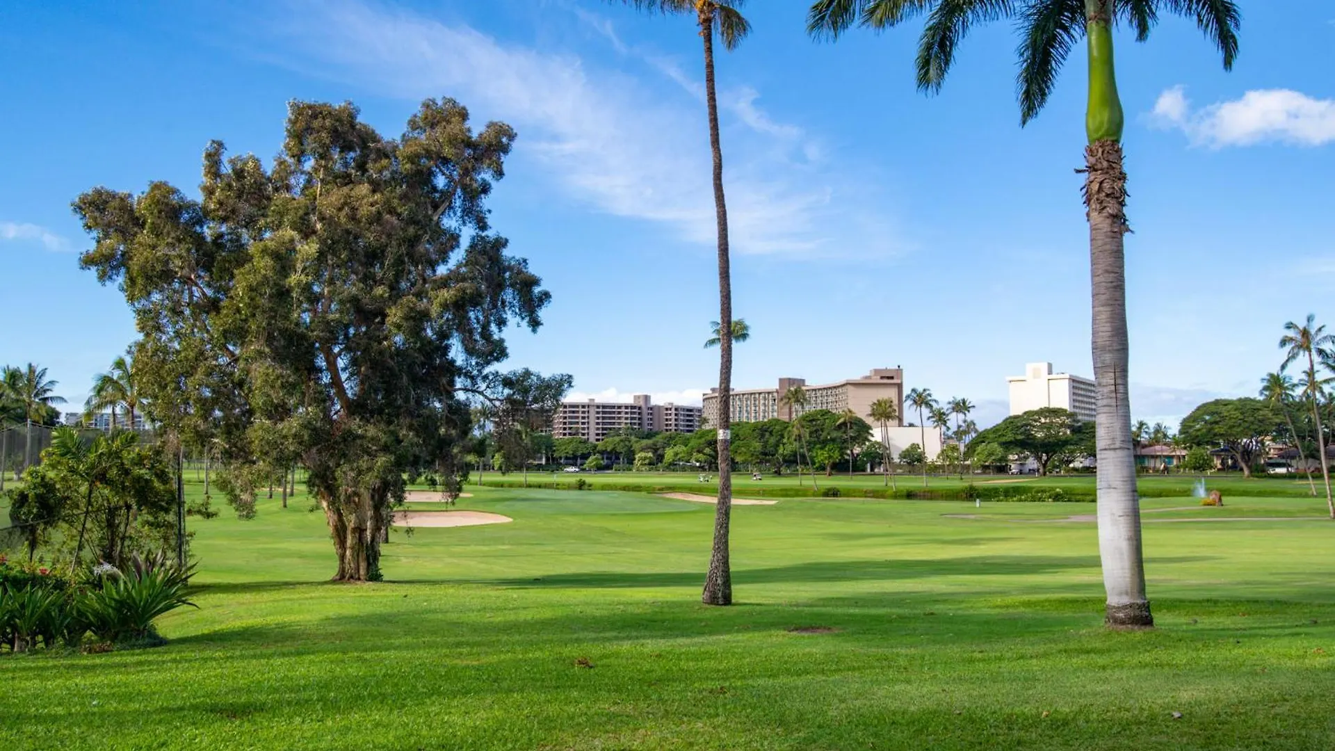 Kaanapali Royal D202 Hébergement de vacances *