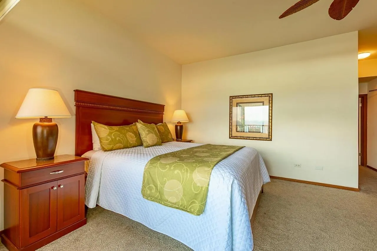 Kapalua Ridge Villas-#2212 公寓 *