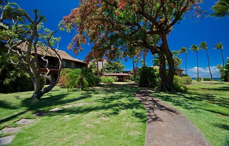 Maui Sands #6e