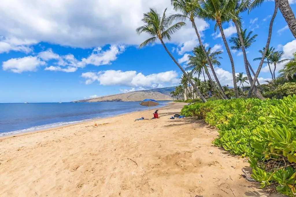 Apartment Nani Kai Hale 209- Remodeled Prime Oceanfront 1 Bedroom Gem *