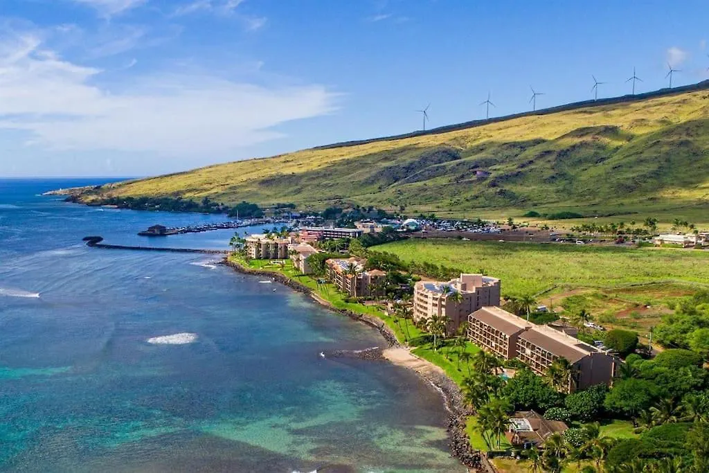 Appartement Stunning Maui Direct Ocean Front On The Beach, Walk To From Condo, Watch Turtles, Whales, Ac In Ocean View Pool And *