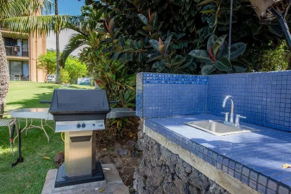 Appartement Stunning Maui Direct Ocean Front On The Beach, Walk To From Condo, Watch Turtles, Whales, Ac In Ocean View Pool And