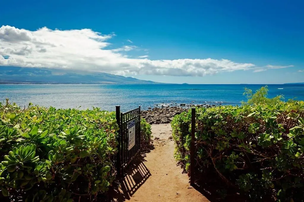 Stunning Maui Direct Ocean Front On The Beach, Walk To From Condo, Watch Turtles, Whales, Ac In Ocean View Pool And * Wailuku