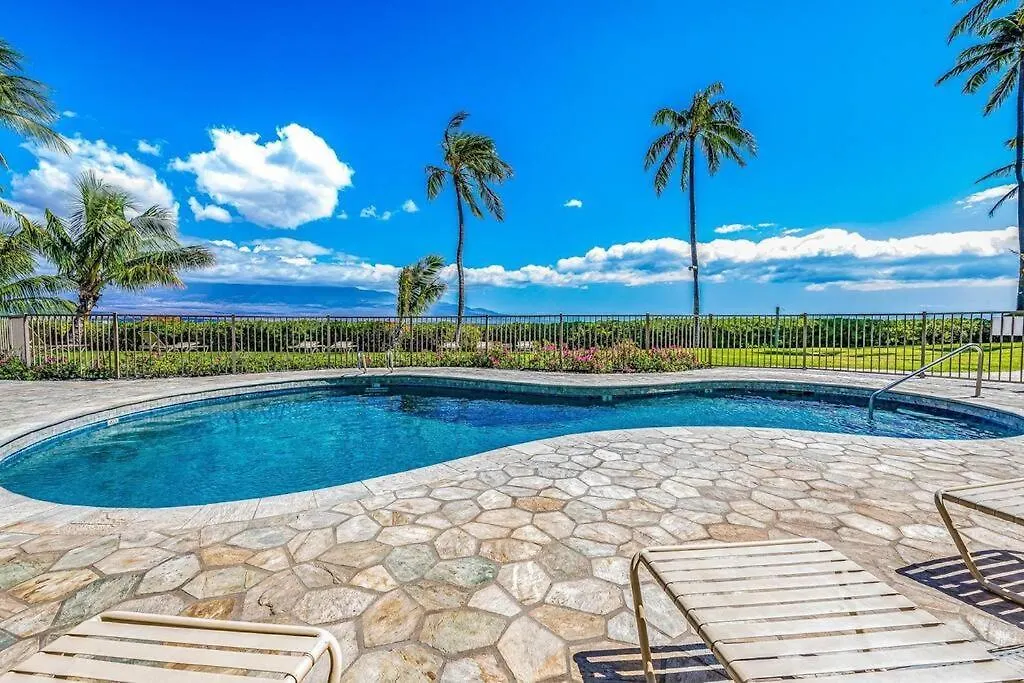 Stunning Maui Direct Ocean Front On The Beach, Walk To From Condo, Watch Turtles, Whales, Ac In Ocean View Pool And Appartement