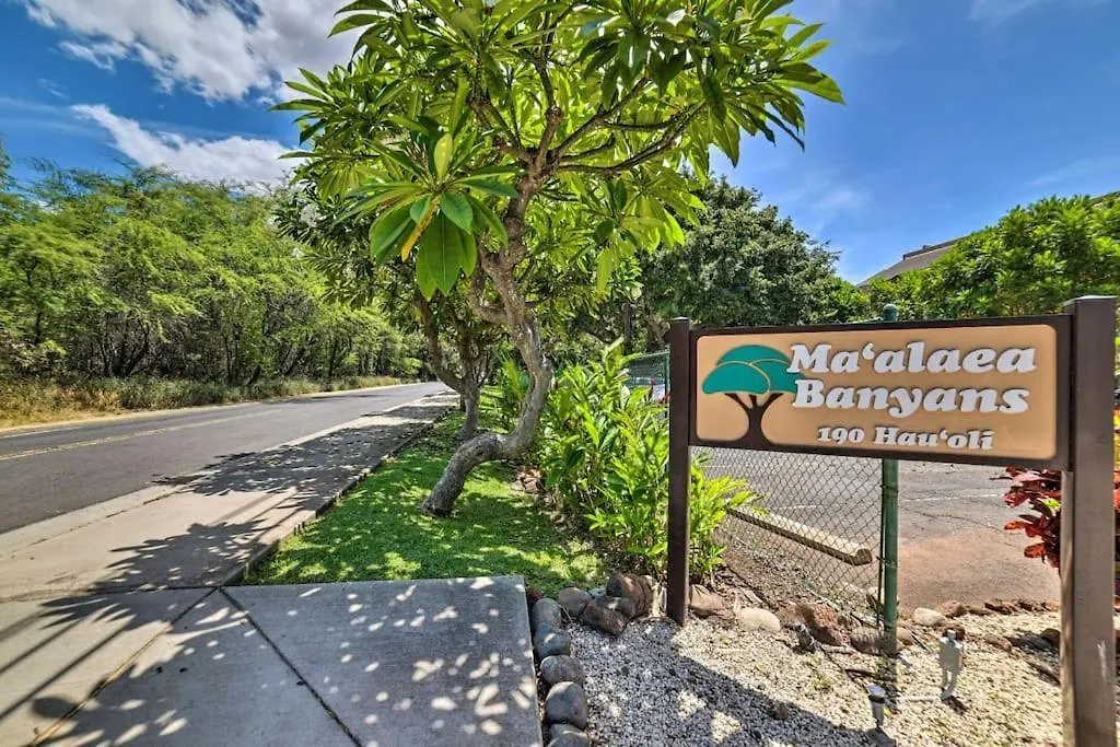 Stunning Maui Direct Ocean Front On The Beach, Walk To From Condo, Watch Turtles, Whales, Ac In Ocean View Pool And *