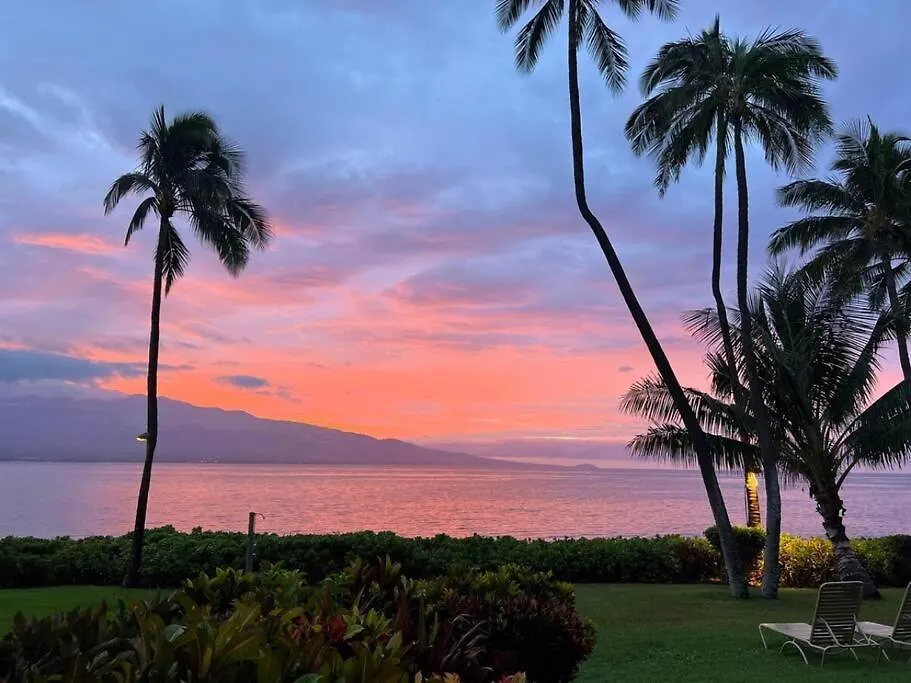 Stunning Maui Direct Ocean Front On The Beach, Walk To From Condo, Watch Turtles, Whales, Ac In Ocean View Pool And Wailuku