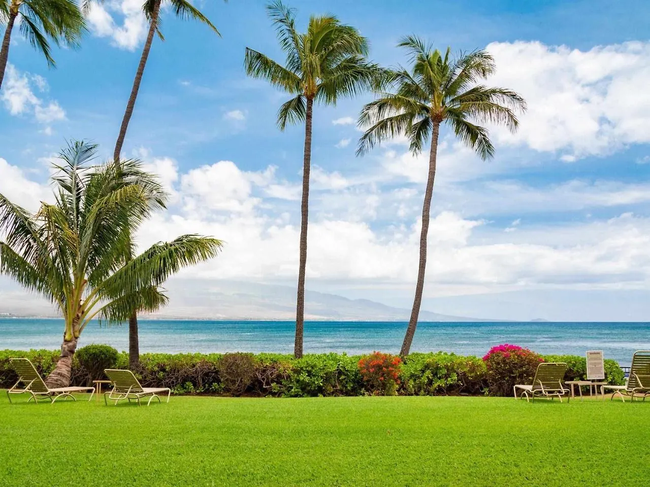Appartement Stunning Maui Direct Ocean Front On The Beach, Walk To From Condo, Watch Turtles, Whales, Ac In Ocean View Pool And Wailuku