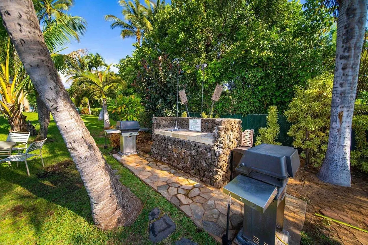 Appartement Stunning Maui Direct Ocean Front On The Beach, Walk To From Condo, Watch Turtles, Whales, Ac In Ocean View Pool And Wailuku