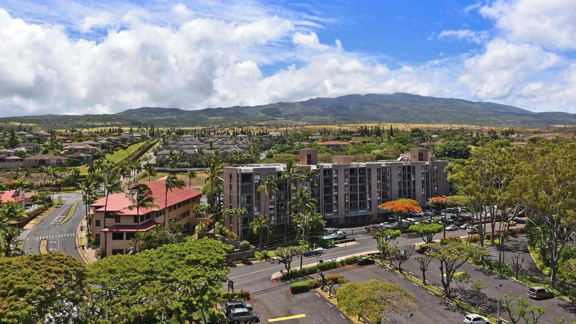 Royal 104 * Kahana