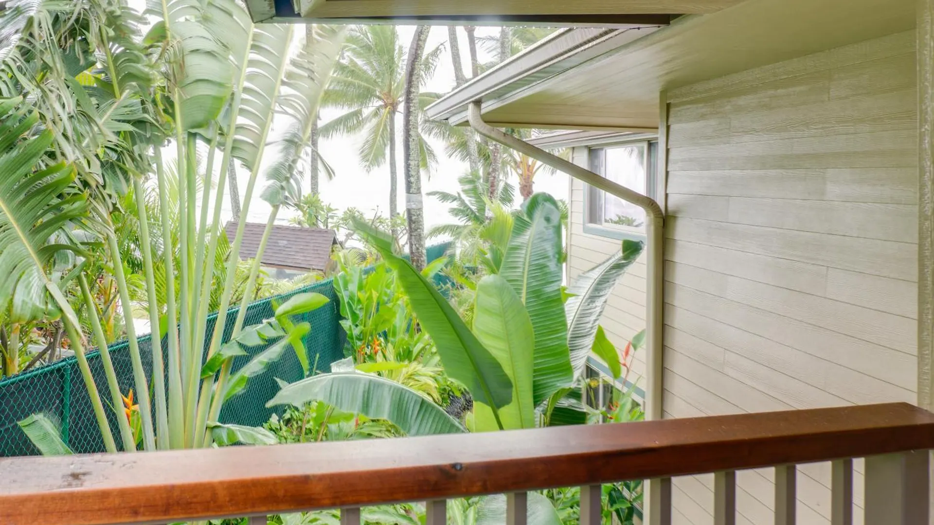 شقة فندقية Hale Napili 4*
