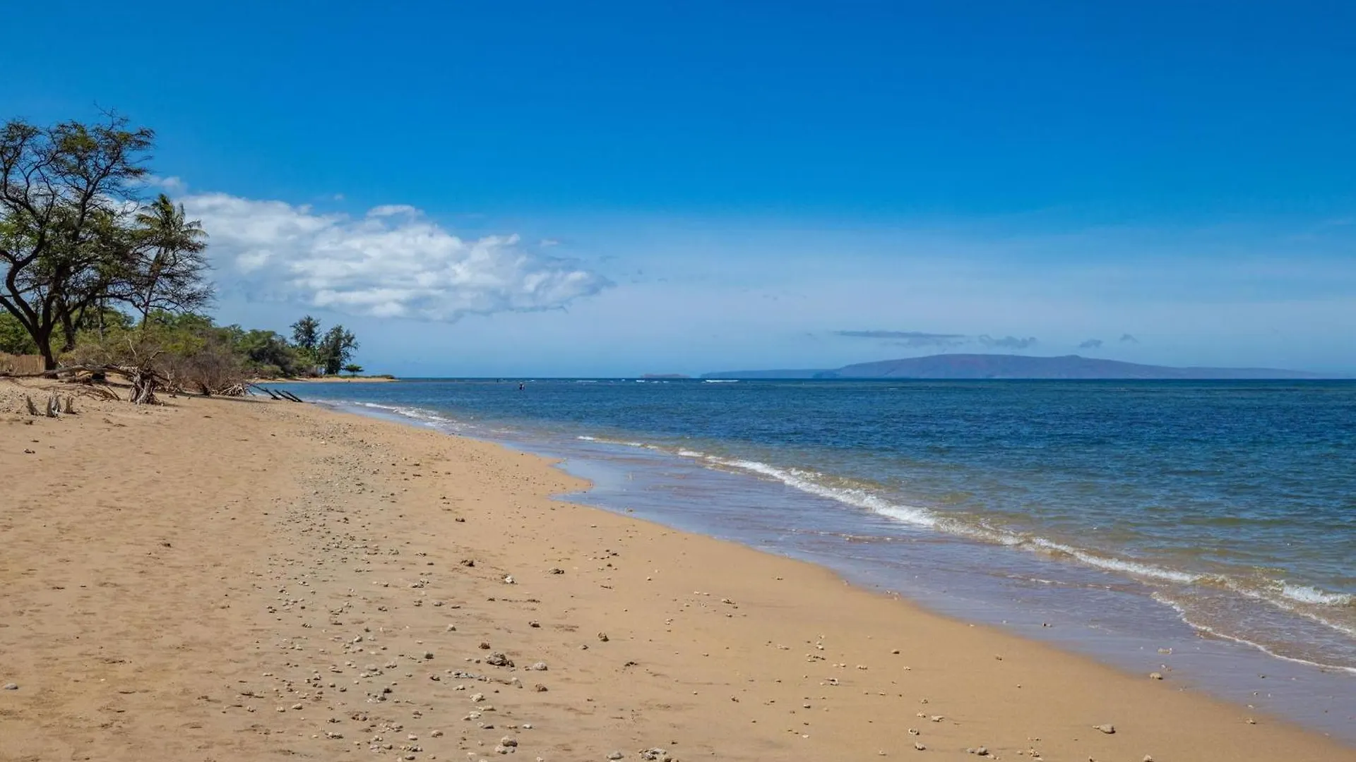 Luana Kai Loft C308 By Betterstay Holiday home Kihei