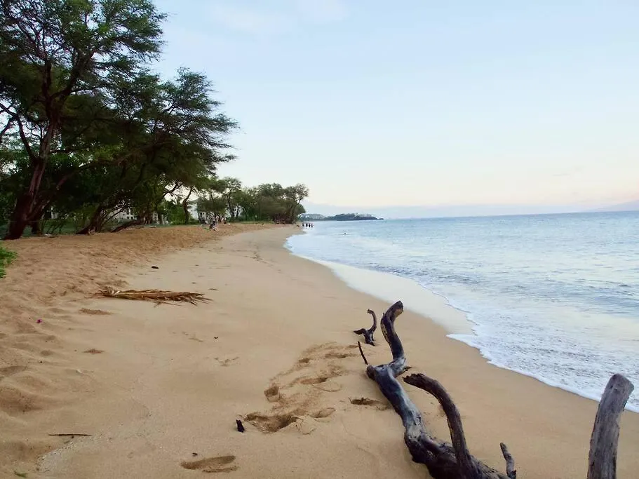 Ocean View One Bedroom At Honua Kai!! 公寓