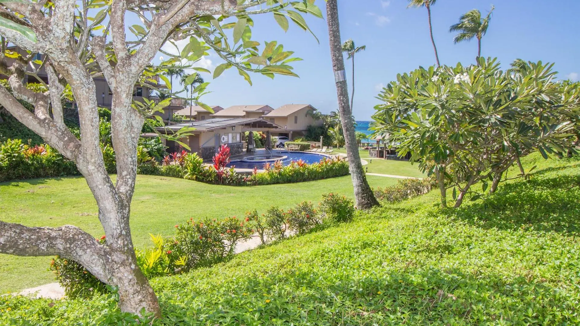 Ground Floor & Ac! - Ks C1c - Sullivan Kahana