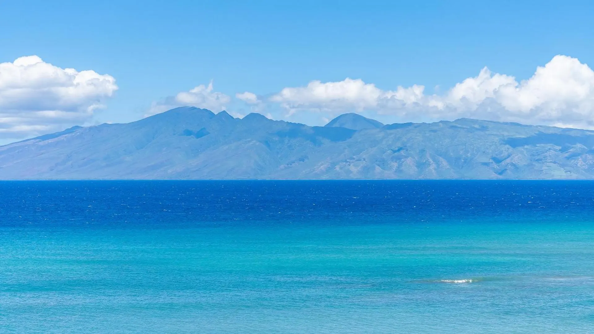 Ocean View, Corner, Ac & Remodeled! Sk272 Holiday home *