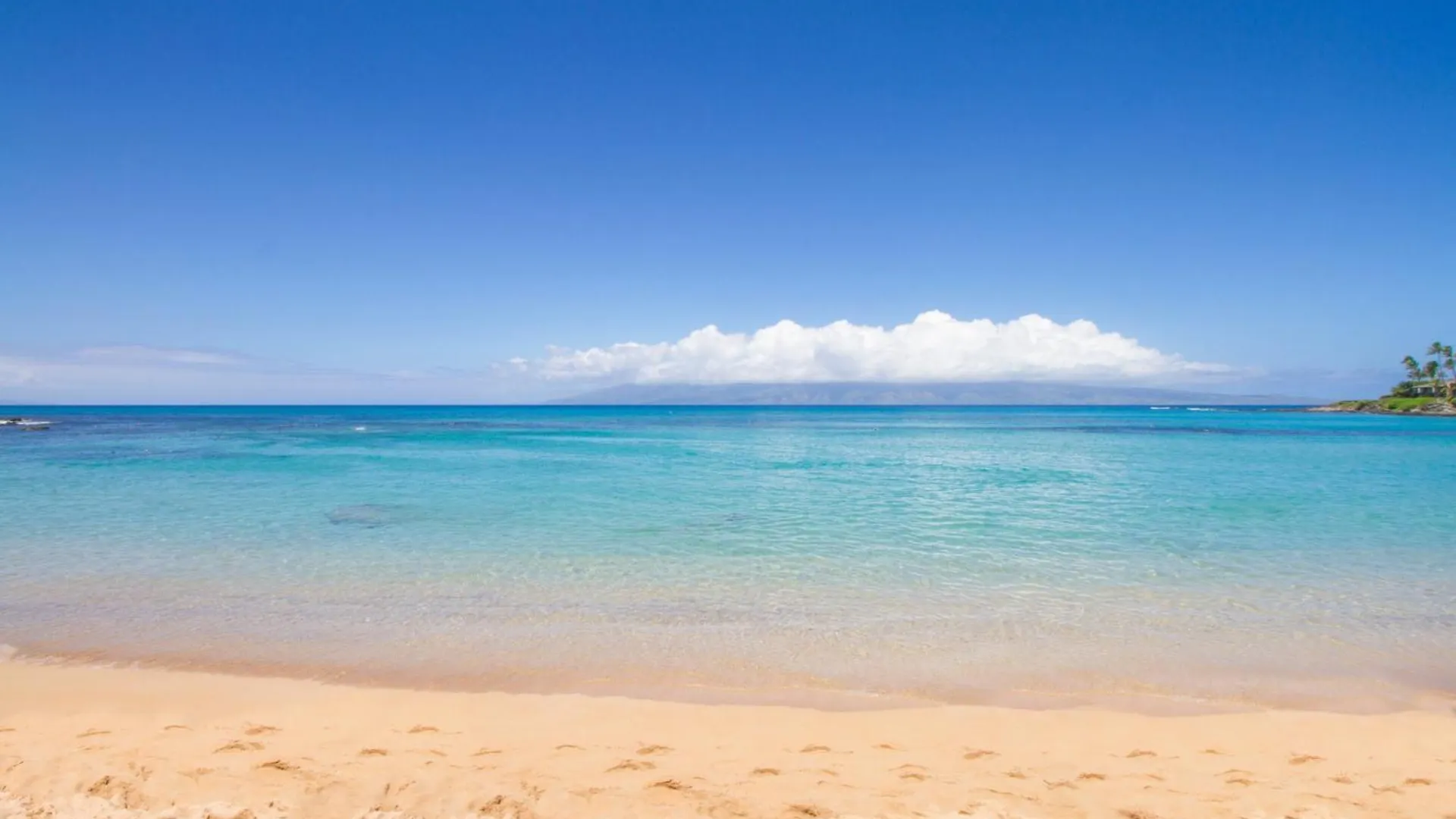 펜션 Napili Bay Steps From Ocean! Nb204 - Sullivan Kahana
