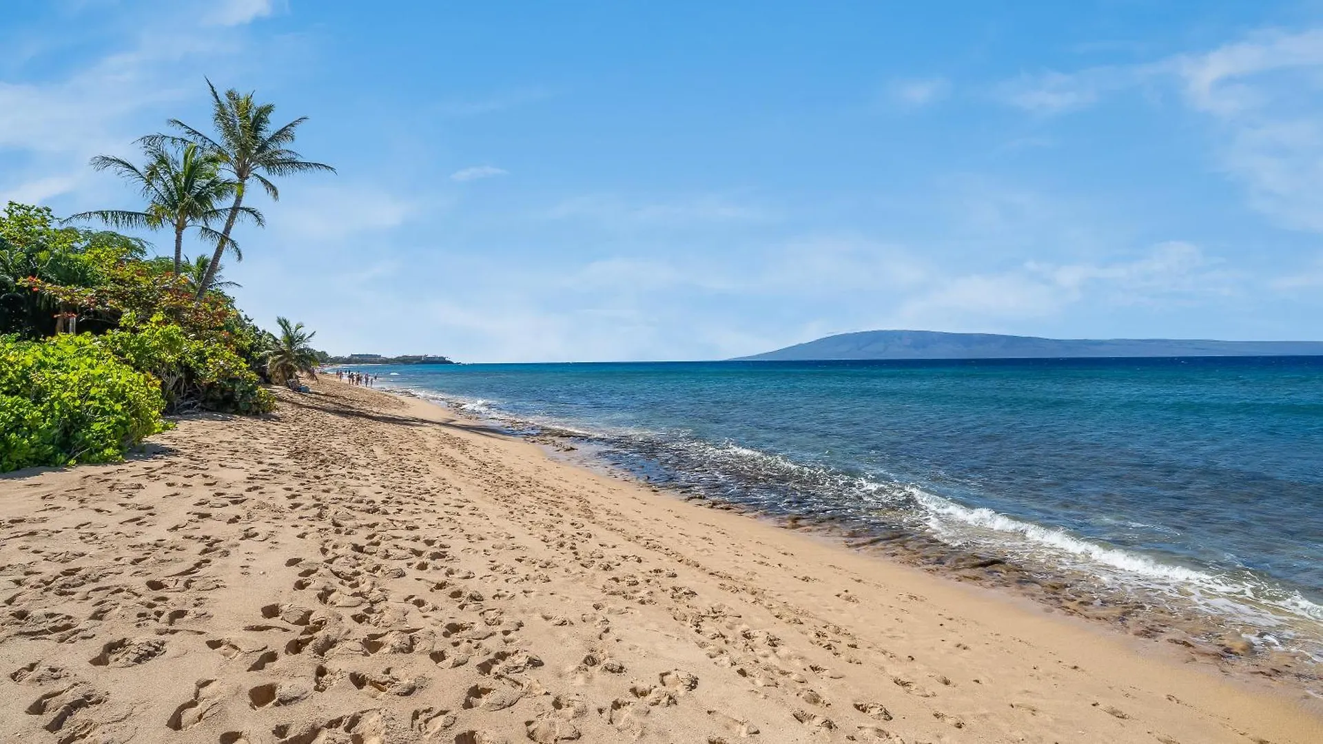 Vakantiehuis Oceanfront Views & Remodeled! - Mk306
