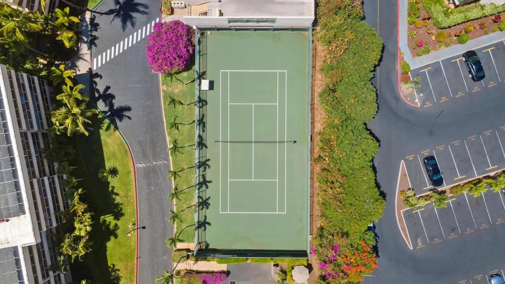 Tatil Evi Maui Banyan