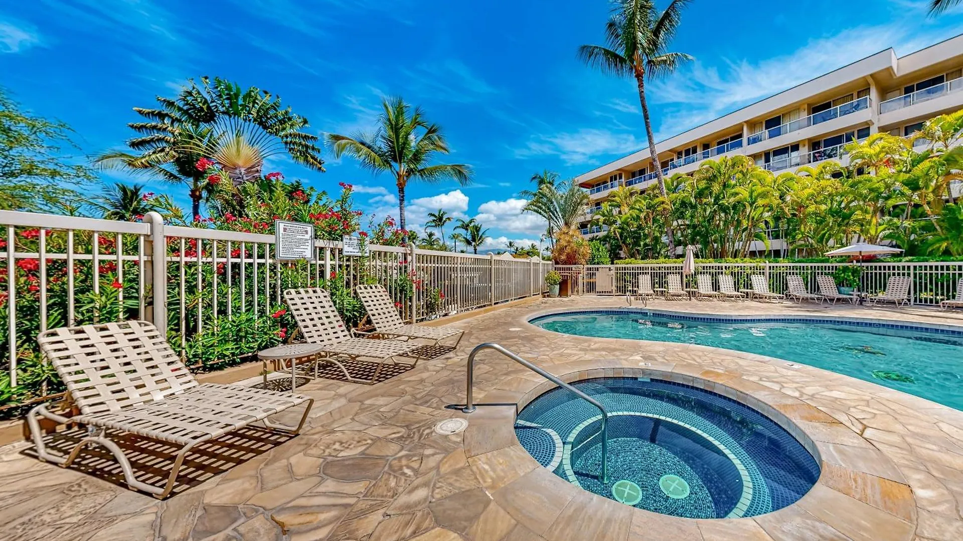 Maui Banyan