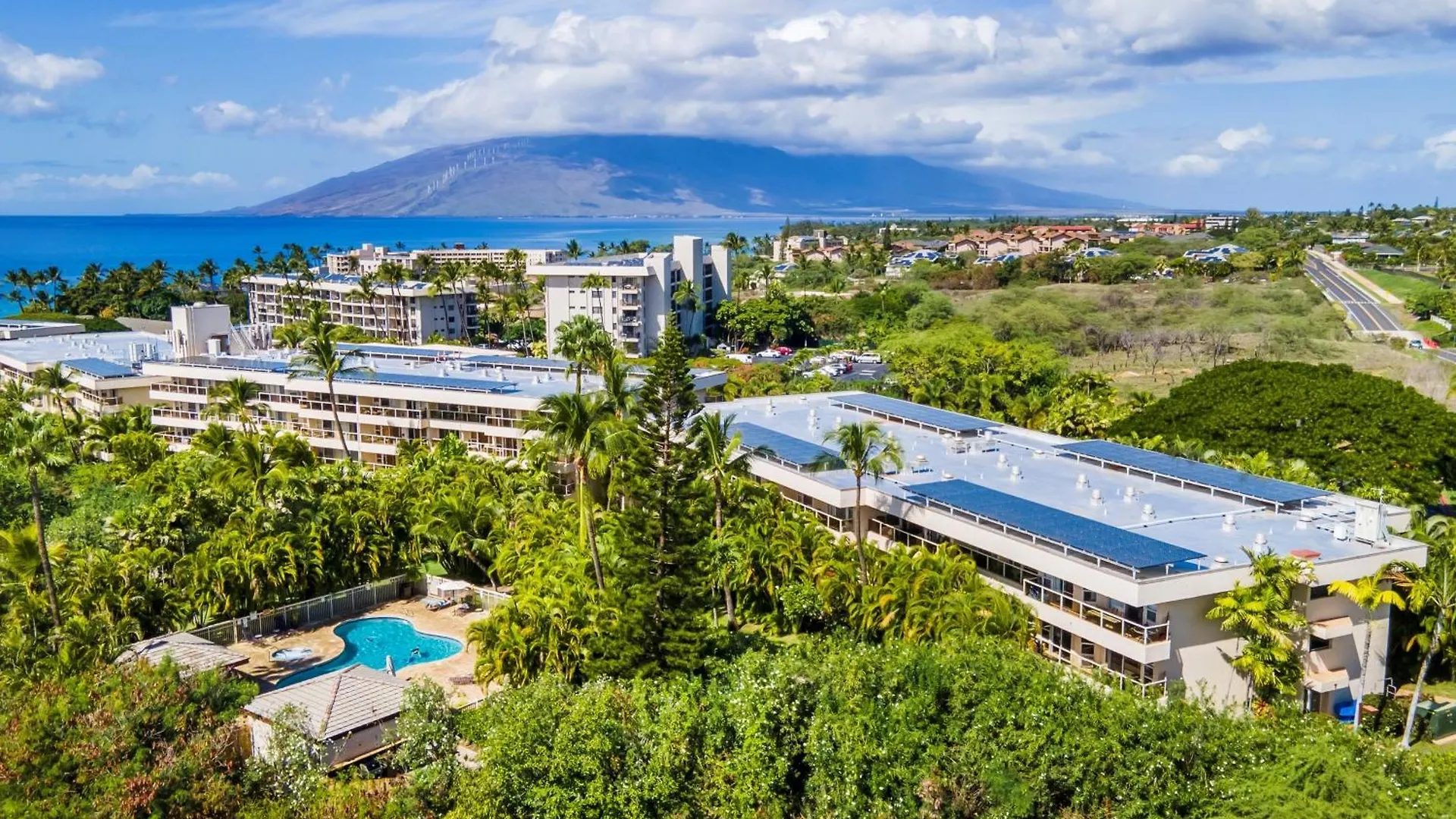 Maui Banyan